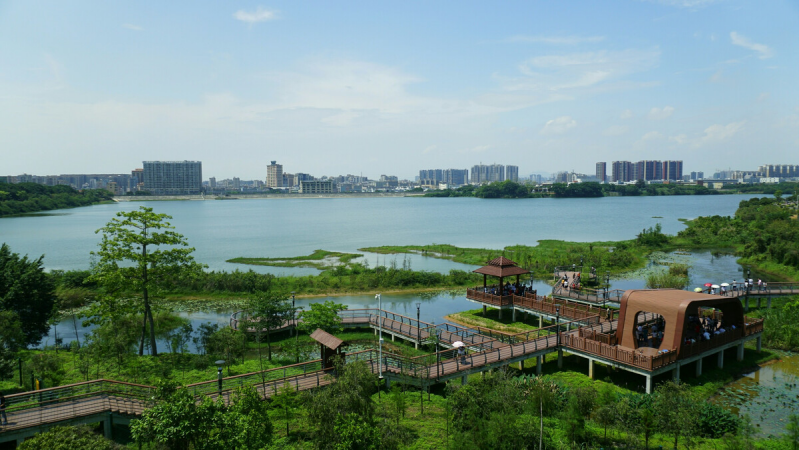 盤點(diǎn)深圳十大最美公園，你最愛的是哪個(gè)公園？